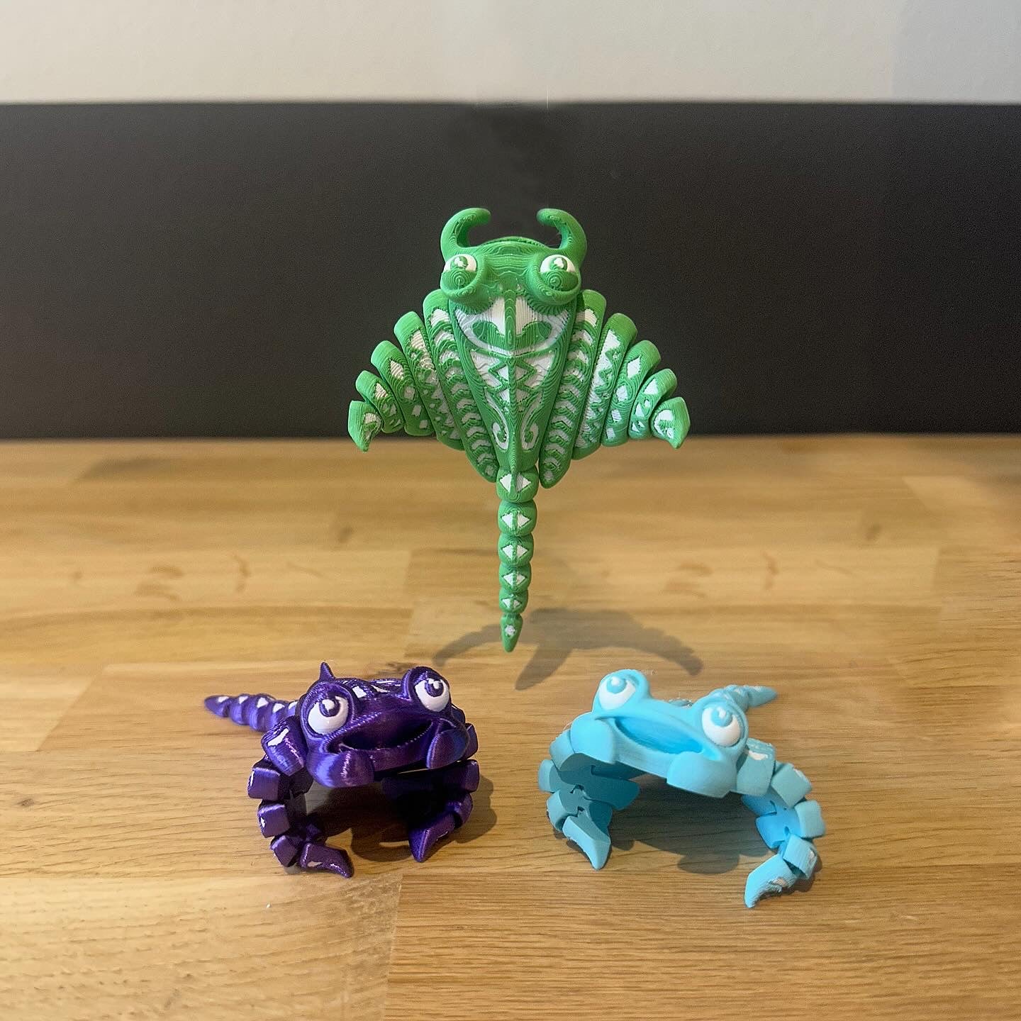 Manta rog!