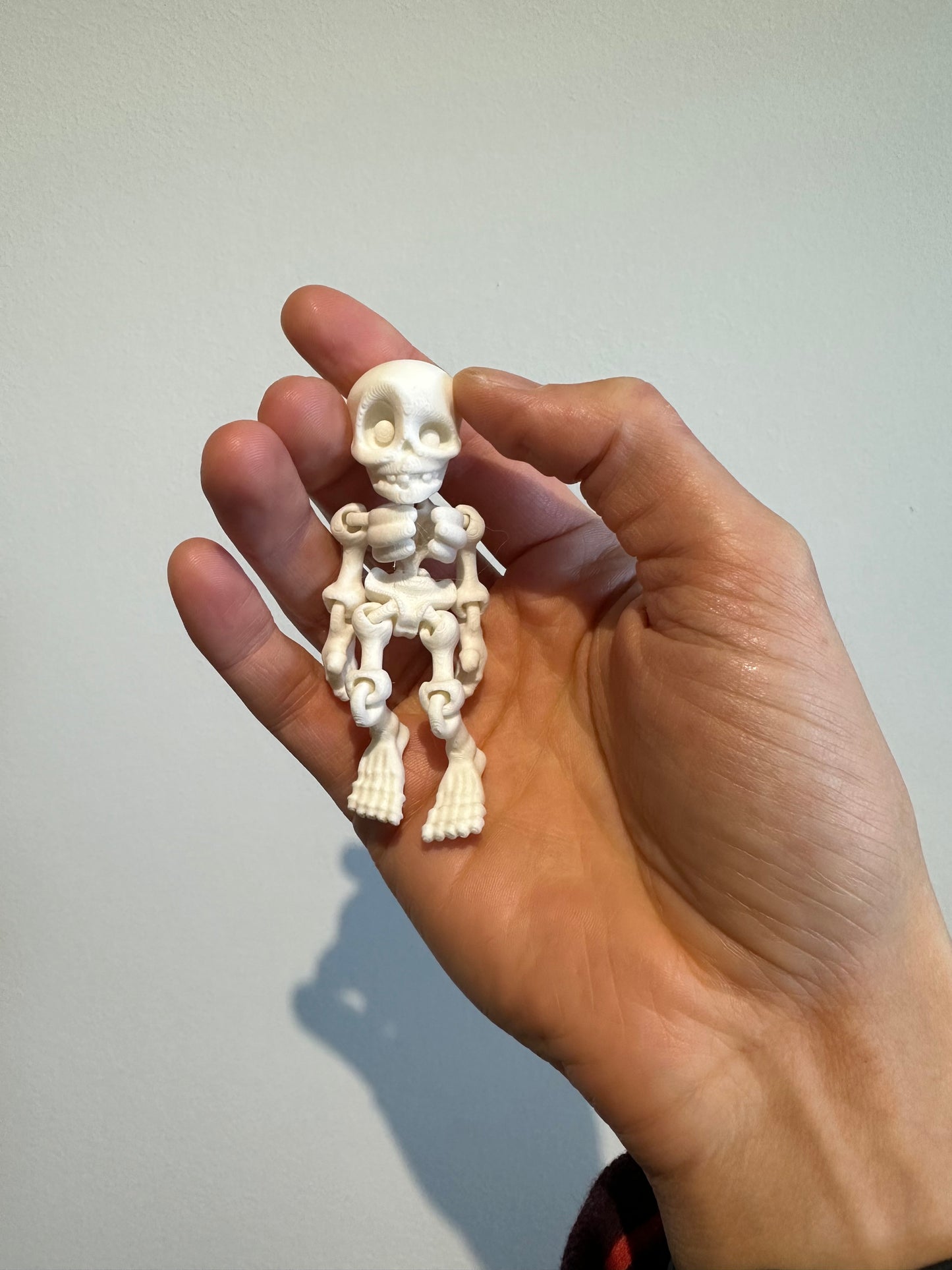 Skeletje