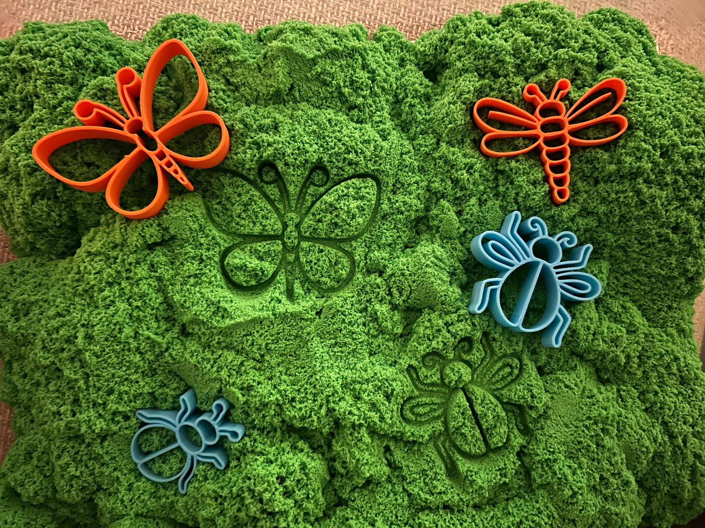 3D-geprinte Insecten Zandvormpjes