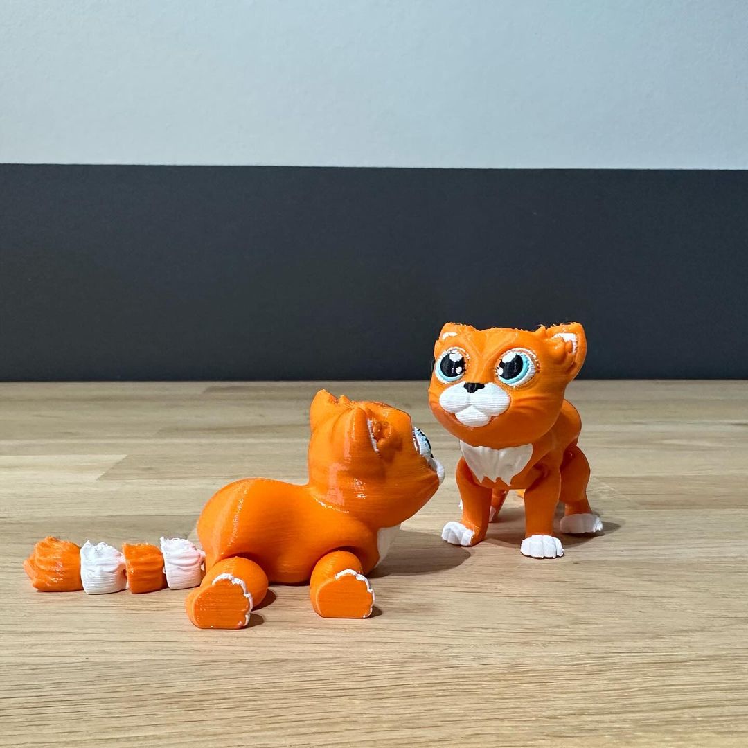 Oranje katje