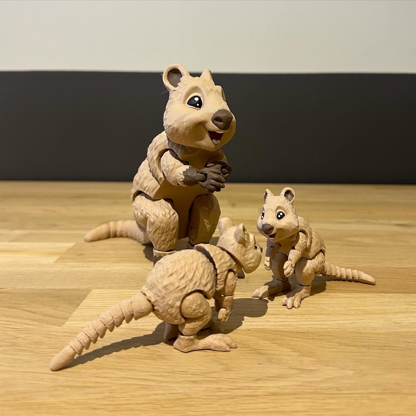 Wallaby klein of groot