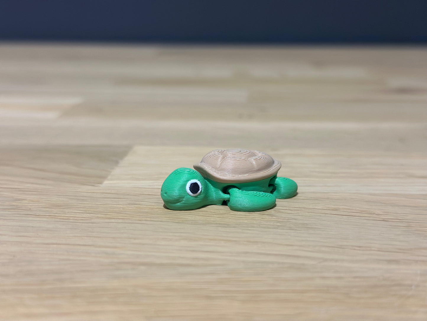 Water schildpad