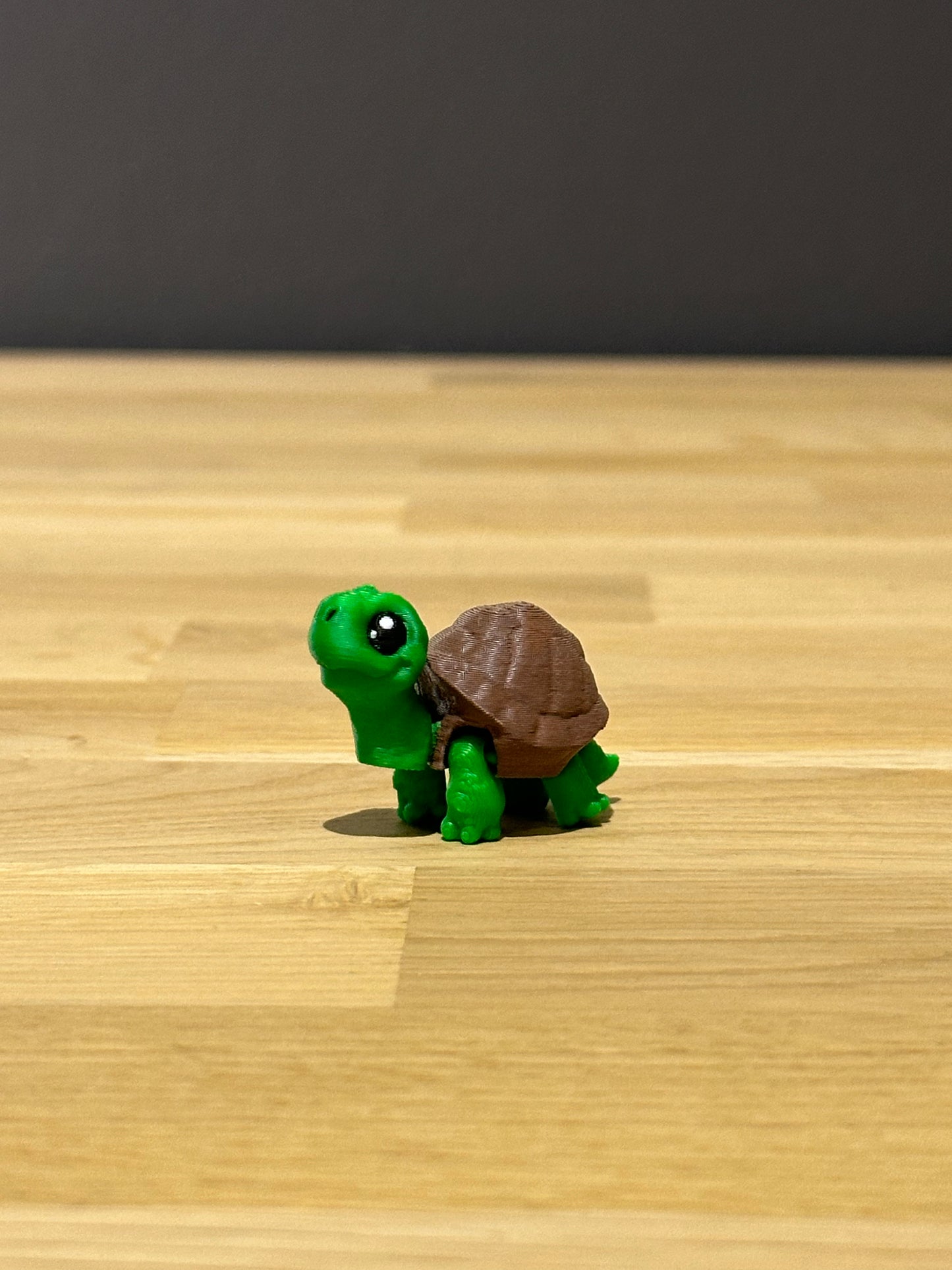 Land schildpad