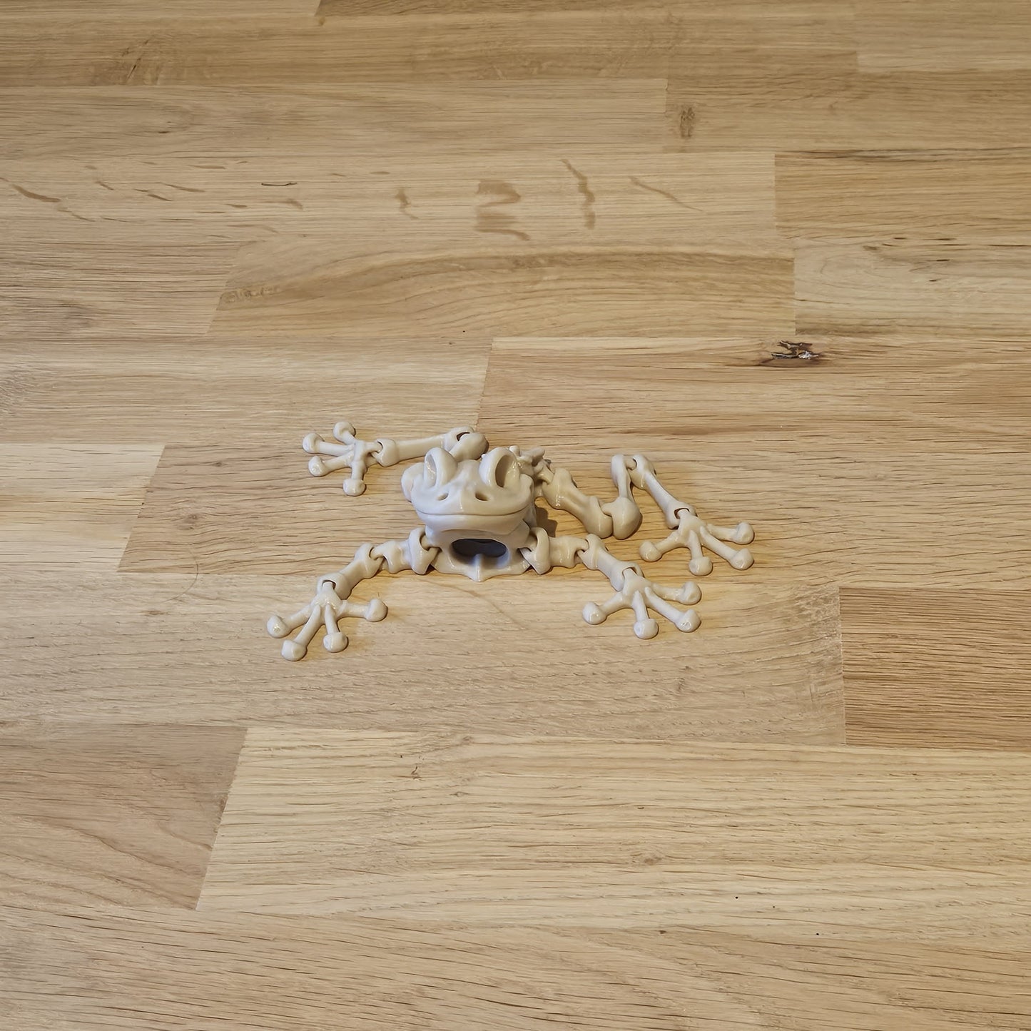 Flexi skelet Kikker liggend op ondergrond – gedetailleerd 3D-model met flexibele ledematen en realistische kikkerkop