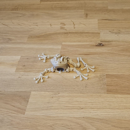Flexi skelet Kikker liggend op ondergrond – gedetailleerd 3D-model met flexibele ledematen en realistische kikkerkop