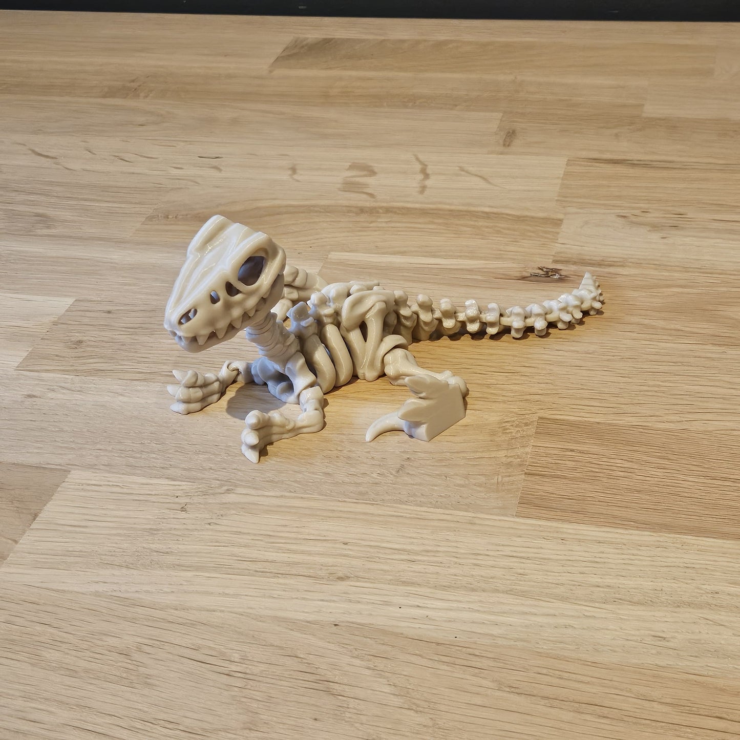 Flexi skelet Velociraptor liggend op tafel – gedetailleerd, beweegbaar model met lange staart en scherpe klauwen