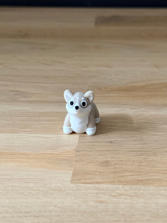 Corgi