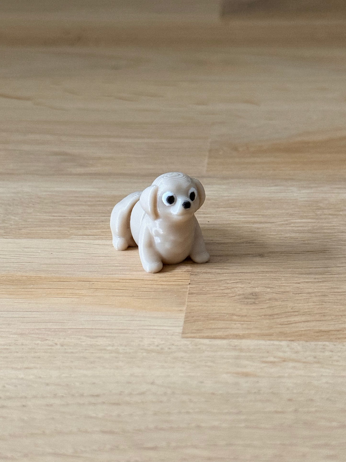 Labrador