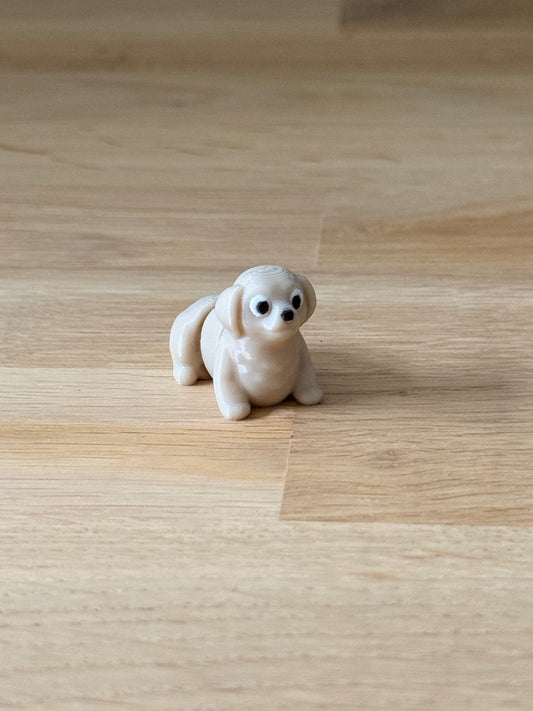 Labrador